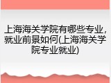 上海海关学院有哪些专业，就业前景如何(上海海关学院专业就业)