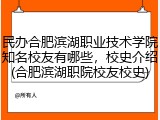 民办合肥滨湖职业技术学院知名校友有哪些，校史介绍(合肥滨湖职院校友校史)