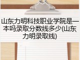 山东力明科技职业学院是一本吗录取分数线多少(山东力明录取线)
