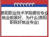 贵阳职业技术学院哪些专业就业前景好，为什么(贵阳职院好就业专业)