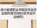 遂宁能源职业学院奖学金评定细则是怎样的(奖学金评定细则)