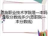 恩施职业技术学院是一本吗录取分数线多少(恩职院一本分数线)