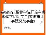 安徽审计职业学院开设有哪些奖学和助学金(安徽审计学院奖助学金)