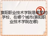 襄阳职业技术学院是哪里的学校，在哪个城市(襄阳职业技术学院在哪)