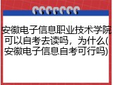 安徽电子信息职业技术学院可以自考去读吗，为什么(安徽电子信息自考可行吗)
