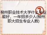 柳州职业技术大学什么专业最好，一年招多少人(柳州职大招生专业人数)