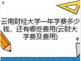 云南财经大学一年学费多少钱，还有哪些费用(云财大学费及费用)