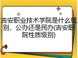 吉安职业技术学院是什么级别，公办还是民办(吉安职院性质级别)