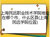 上海民远职业技术学院地址在哪个市，什么区县(上海民远学院位置)