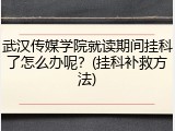 武汉传媒学院就读期间挂科了怎么办呢？(挂科补救方法)