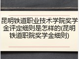昆明铁道职业技术学院奖学金评定细则是怎样的(昆明铁道职院奖学金细则)