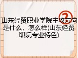 山东经贸职业学院主攻方向是什么，怎么样(山东经贸职院专业特色)