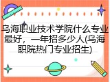 乌海职业技术学院什么专业最好，一年招多少人(乌海职院热门专业招生)
