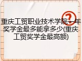 重庆工贸职业技术学院一年奖学金最多能拿多少(重庆工贸奖学金最高额)