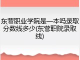 东营职业学院是一本吗录取分数线多少(东营职院录取线)