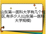 山东第一医科大学有几个校区,有多少人(山东第一医科大学规模)