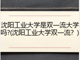 沈阳工业大学是双一流大学吗?(沈阳工业大学双一流？)