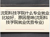 沈阳科技学院什么专业就业比较好，原因是啥(沈阳科技学院就业优势专业)