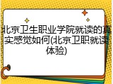 北京卫生职业学院就读的真实感觉如何(北京卫职就读体验)