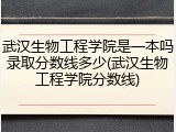 武汉生物工程学院是一本吗录取分数线多少(武汉生物工程学院分数线)