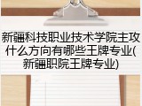 新疆科技职业技术学院主攻什么方向有哪些王牌专业(新疆职院王牌专业)