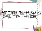 沈阳工学院招生计划详细分析(沈工招生计划解析)