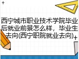 西宁城市职业技术学院毕业后就业前景怎么样，毕业生去向(西宁职院就业去向)