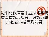 沈阳北软信息职业技术学院有没有就业指导，好就业吗(北软就业指导及前景)