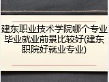 建东职业技术学院哪个专业毕业就业前景比较好(建东职院好就业专业)