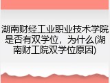 湖南财经工业职业技术学院是否有双学位，为什么(湖南财工院双学位原因)