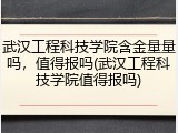 武汉工程科技学院含金量量吗，值得报吗(武汉工程科技学院值得报吗)