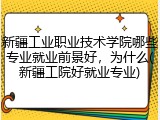 新疆工业职业技术学院哪些专业就业前景好，为什么(新疆工院好就业专业)