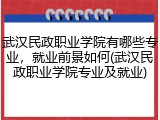 武汉民政职业学院有哪些专业，就业前景如何(武汉民政职业学院专业及就业)
