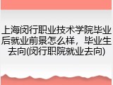 上海闵行职业技术学院毕业后就业前景怎么样，毕业生去向(闵行职院就业去向)