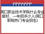 周口职业技术学院什么专业最好，一年招多少人(周口职院热门专业招生)
