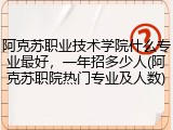 阿克苏职业技术学院什么专业最好，一年招多少人(阿克苏职院热门专业及人数)
