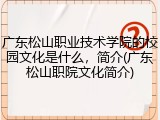 广东松山职业技术学院的校园文化是什么，简介(广东松山职院文化简介)