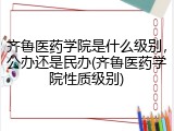 齐鲁医药学院是什么级别，公办还是民办(齐鲁医药学院性质级别)