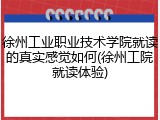 徐州工业职业技术学院就读的真实感觉如何(徐州工院就读体验)