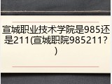 宣城职业技术学院是985还是211(宣城职院985211？)