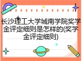长沙理工大学城南学院奖学金评定细则是怎样的(奖学金评定细则)