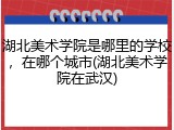 湖北美术学院是哪里的学校，在哪个城市(湖北美术学院在武汉)