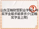 山东圣翰财贸职业学院一年奖学金最多能拿多少(圣翰奖学金上限)