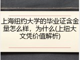 上海纽约大学的毕业证含金量怎么样，为什么(上纽大文凭价值解析)