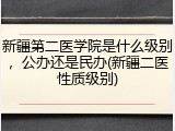 新疆第二医学院是什么级别，公办还是民办(新疆二医性质级别)