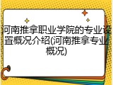 河南推拿职业学院的专业设置概况介绍(河南推拿专业概况)