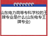 山东电力高等专科学校的王牌专业是什么(山东电专王牌专业)