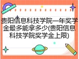 贵阳信息科技学院一年奖学金最多能拿多少(贵阳信息科技学院奖学金上限)