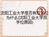 沈阳工业大学是否有双学位，为什么(沈阳工业大学双学位原因)