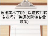 鲁迅美术学院可以进校后转专业吗？(鲁迅美院转专业政策)